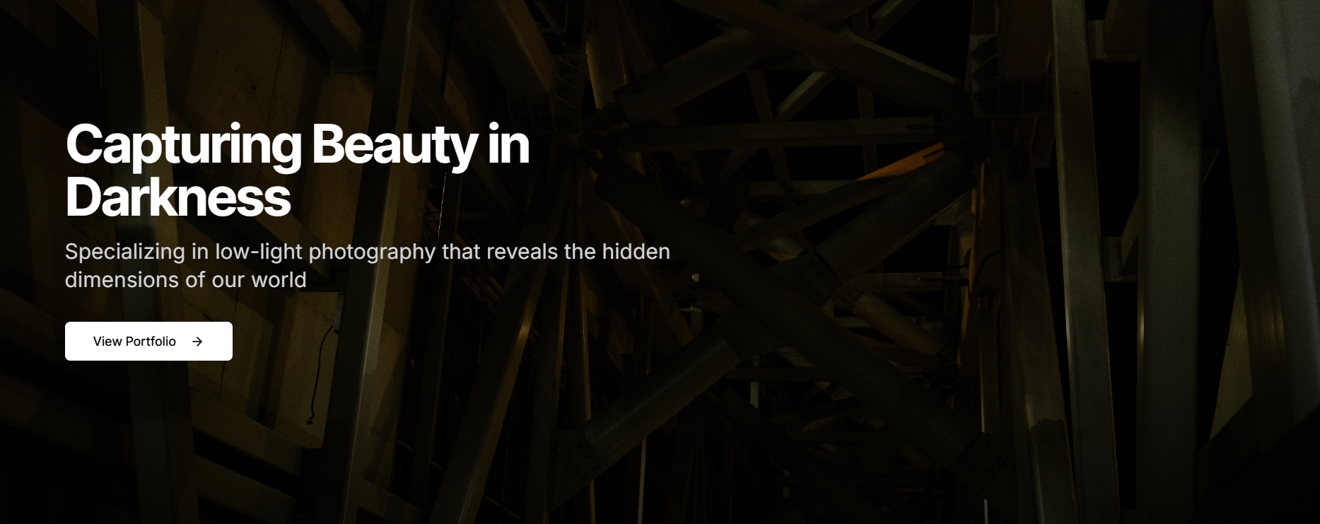 Capturing Beauty in Darkness